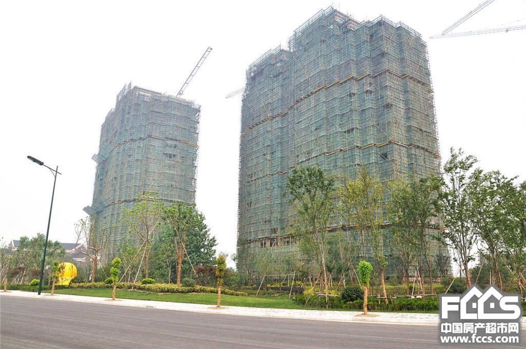 钱江绿洲