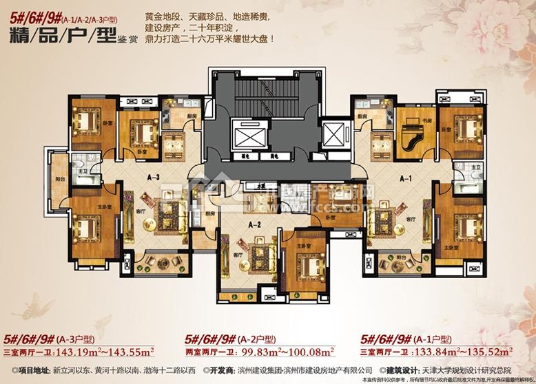 新河金都花园a-1户型户型133.84平米3室2厅1卫户型图