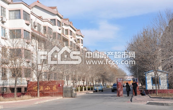 明月小区东营明月小区