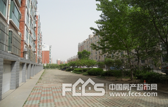 淄博房产超市网 淄博小区 张店小区 绿杉园 2秒 暂停播放 37 82