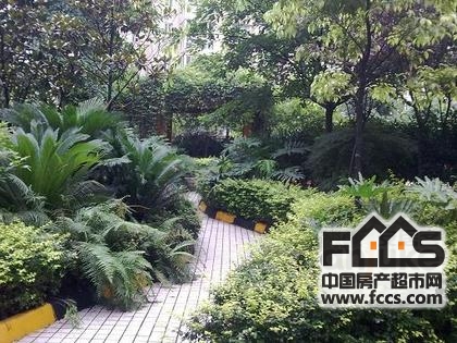 成都房产超市网 成都小区 武侯小区 南华苑 2秒
