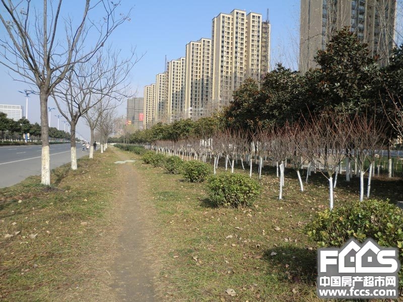 清水湾花园