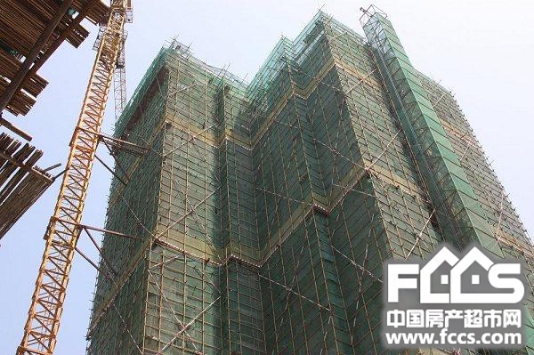 南宁香樟林