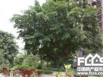 南宁盛天茗城
