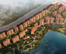 新河湾的封面图