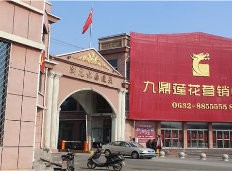 润龙·九鼎莲花的封面图