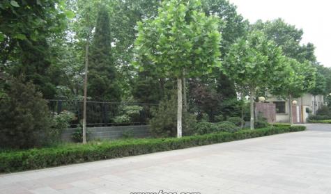 淄博技师学院封面图